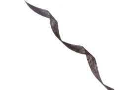 лента нитепрошивная 10мм цв черный (рул 100м) danelli l4yp44 купить по 155.4 - в интернет - магазине Веллтекс | Хабаровск
.